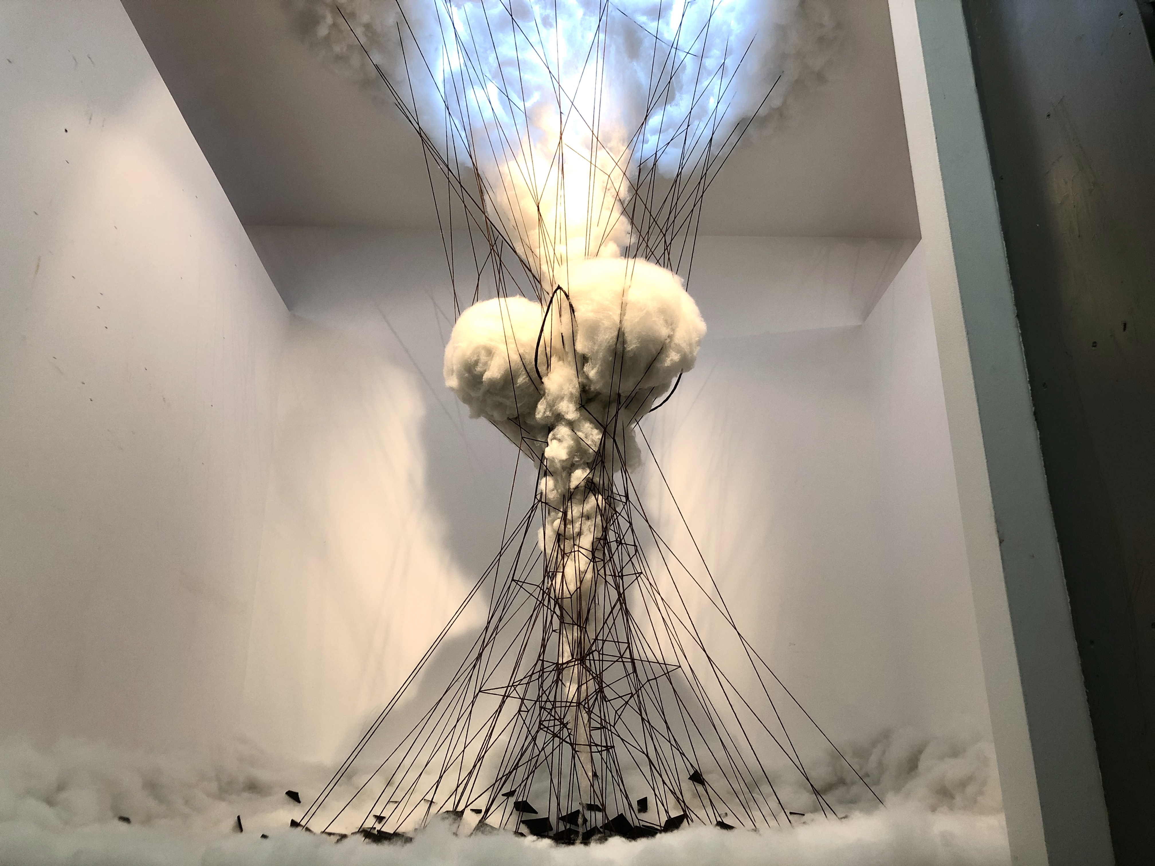 Cotton, final view 2