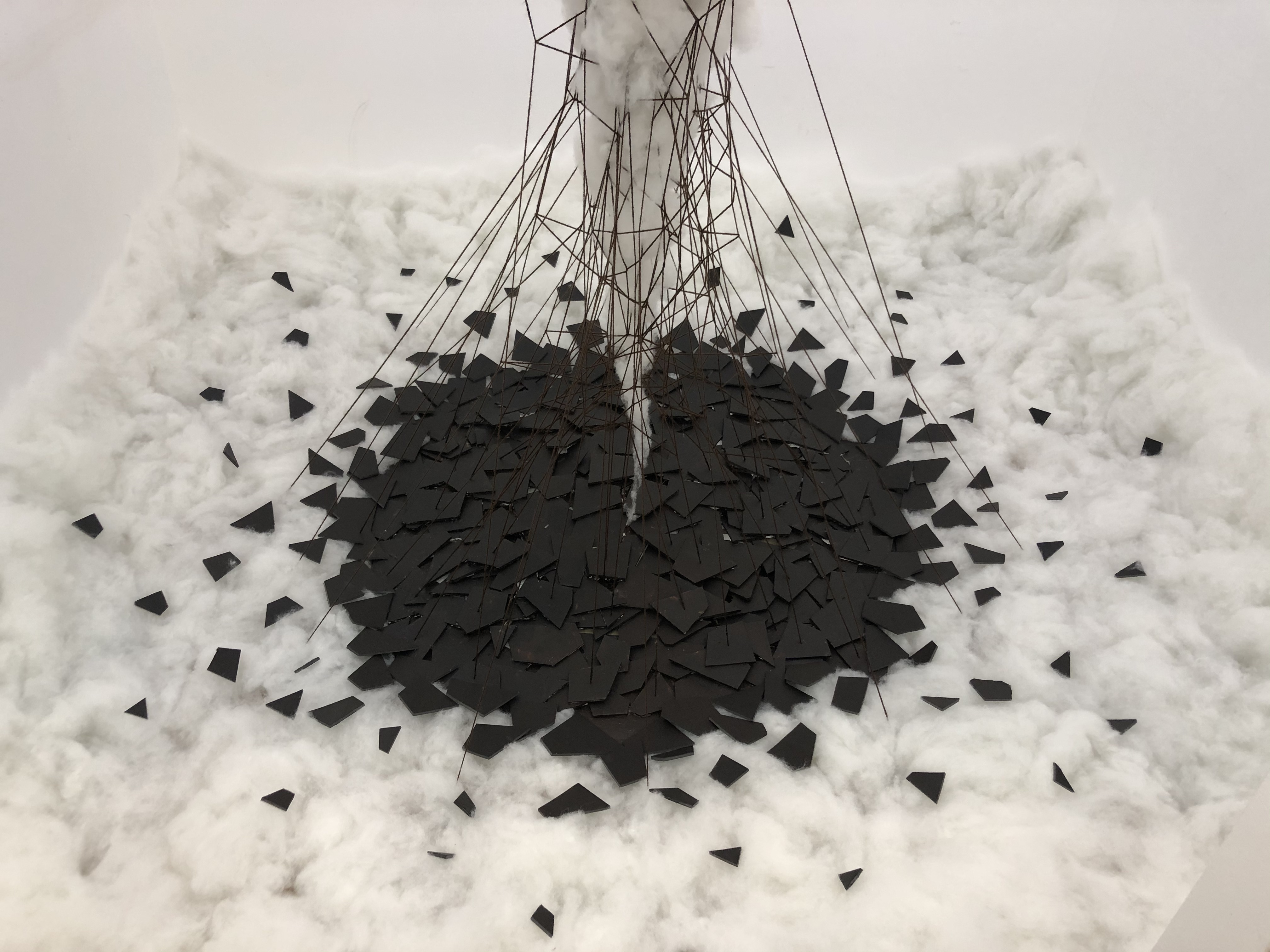 Cotton, final view 4