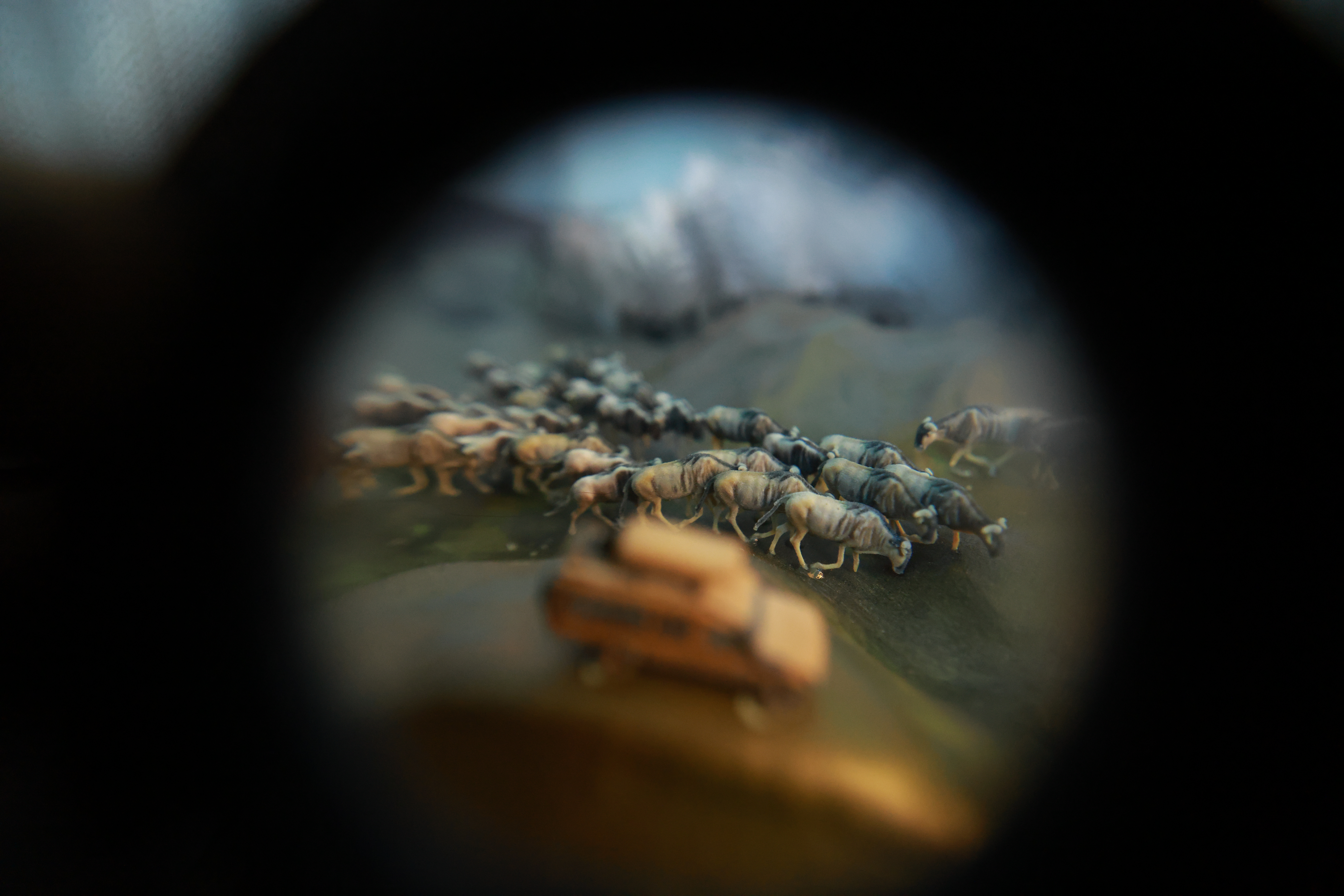 Where, detail 5
